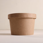 Kraft Paper Food Container with Lid- Pack of 100